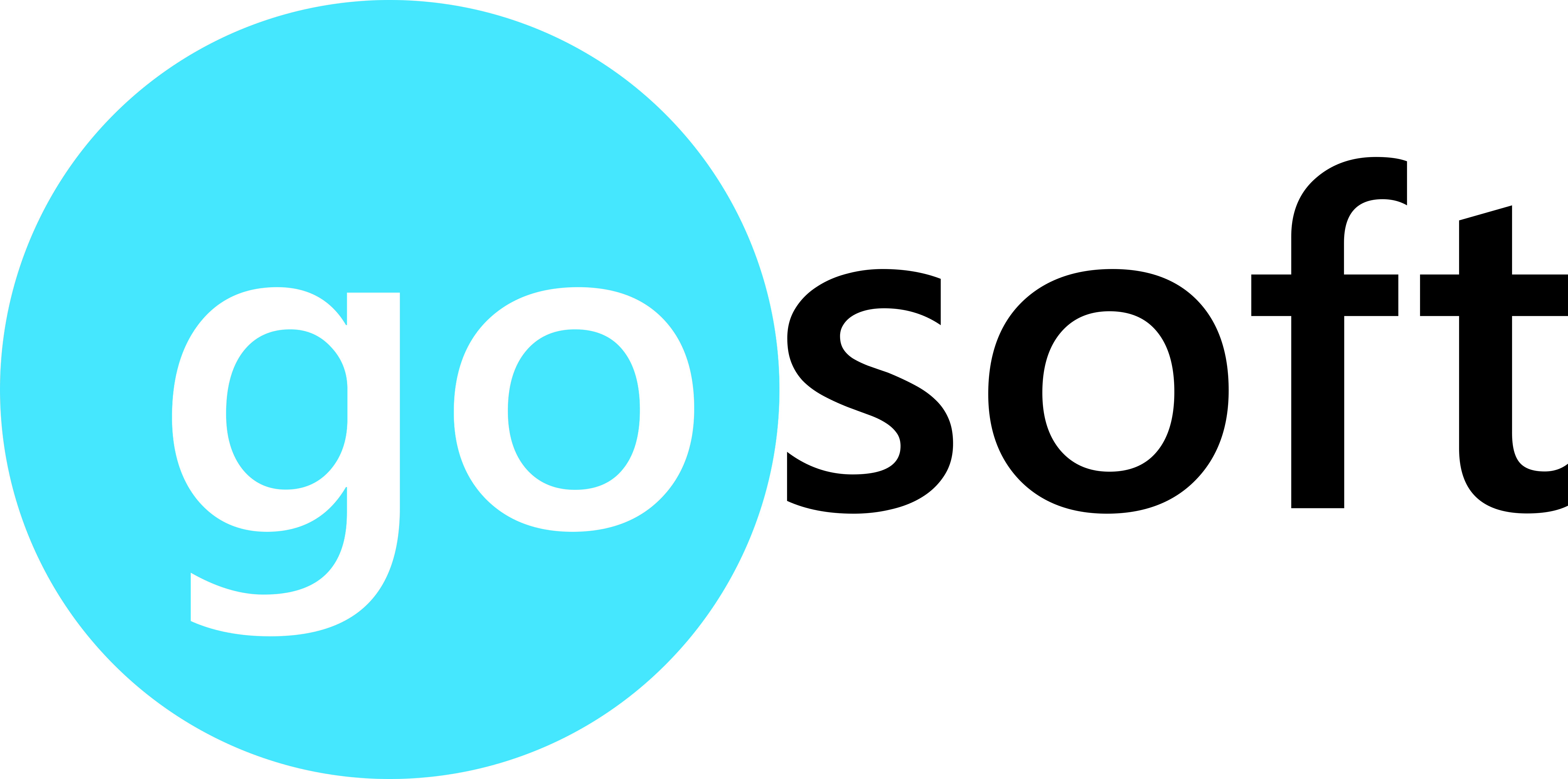 GoSoft Logo